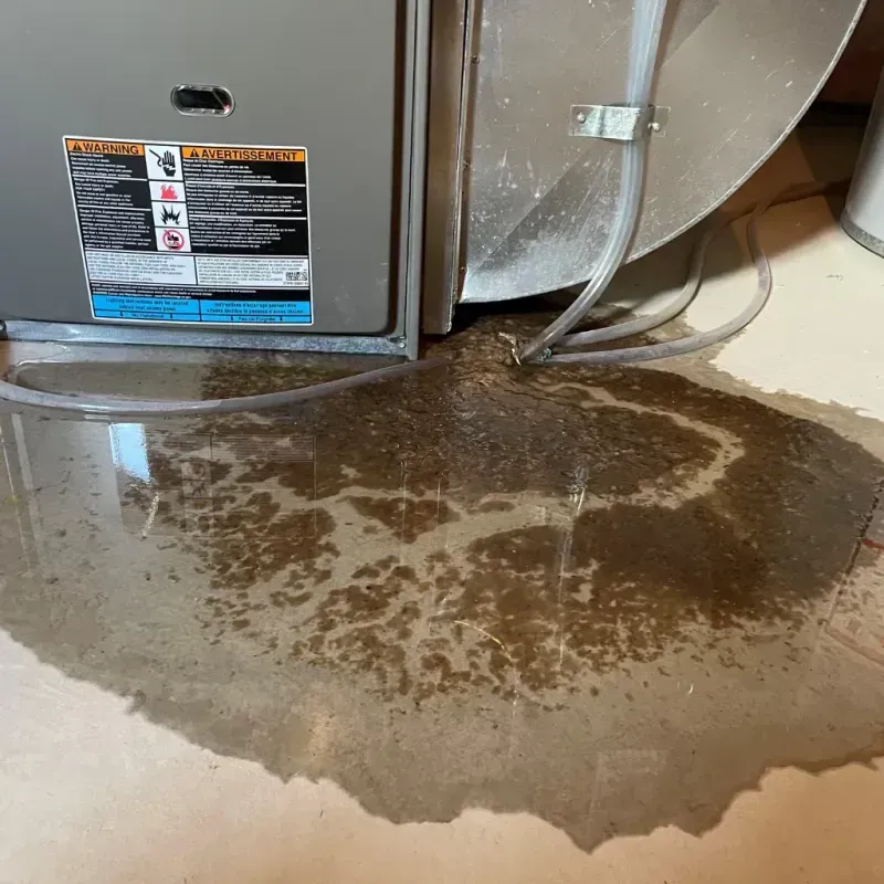 Appliance Leak Cleanup in Villa Hills, KY